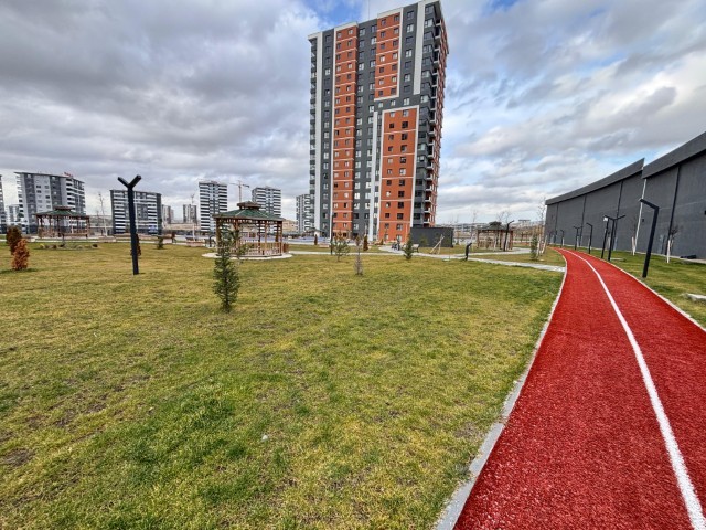 Portföy Görseli 25